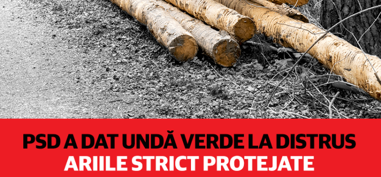 USR condamnă inițiativa PSD care dă undă verde la distrus ariile strict protejate