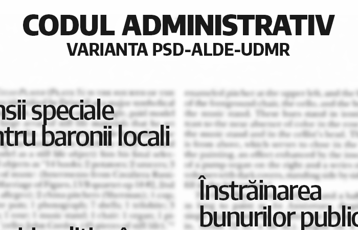 Decizie CCR pentru o administrație curată și performantă